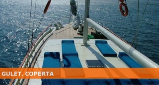  Cruises in the Mediterranean 